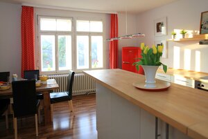 Küche in der Ferienwohnung auf der Insel in Hameln